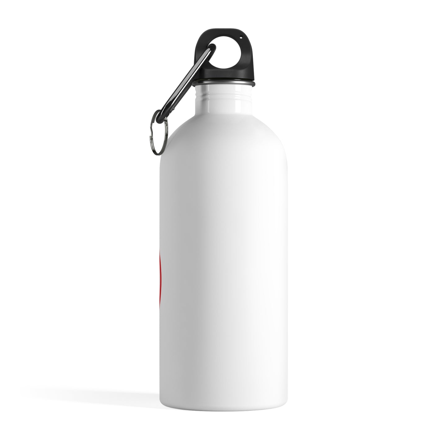 Stainless Steel Diamond Lake  Water Bottle