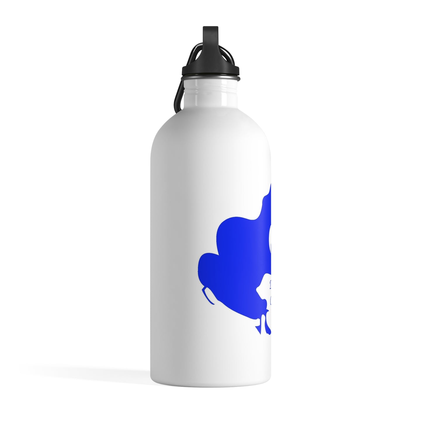 Stainless Steel Diamond Lake Water Bottle